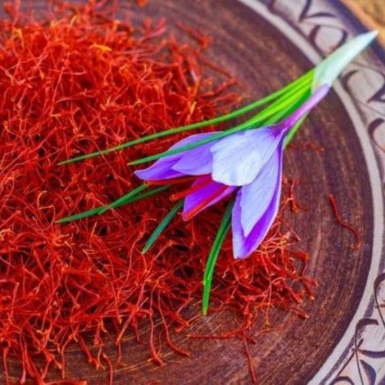 Nature Boon™ Organic Kashmiri Saffron/Kesar Bulbs (Seeds) Pack of 10