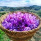 Nature Boon™ Organic Kashmiri Saffron/Kesar Bulbs (Seeds) Pack of 10